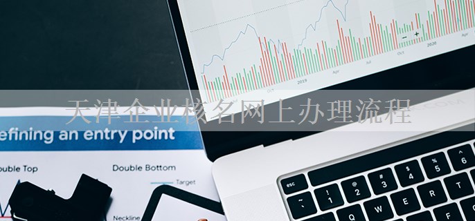 天津企业核名网上办理流程