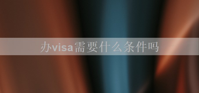 办visa需要什么条件吗