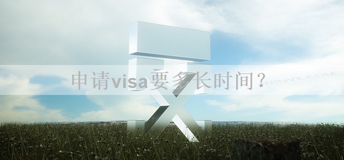 申请visa要多长时间？