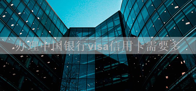 办理中国银行visa信用卡需要多